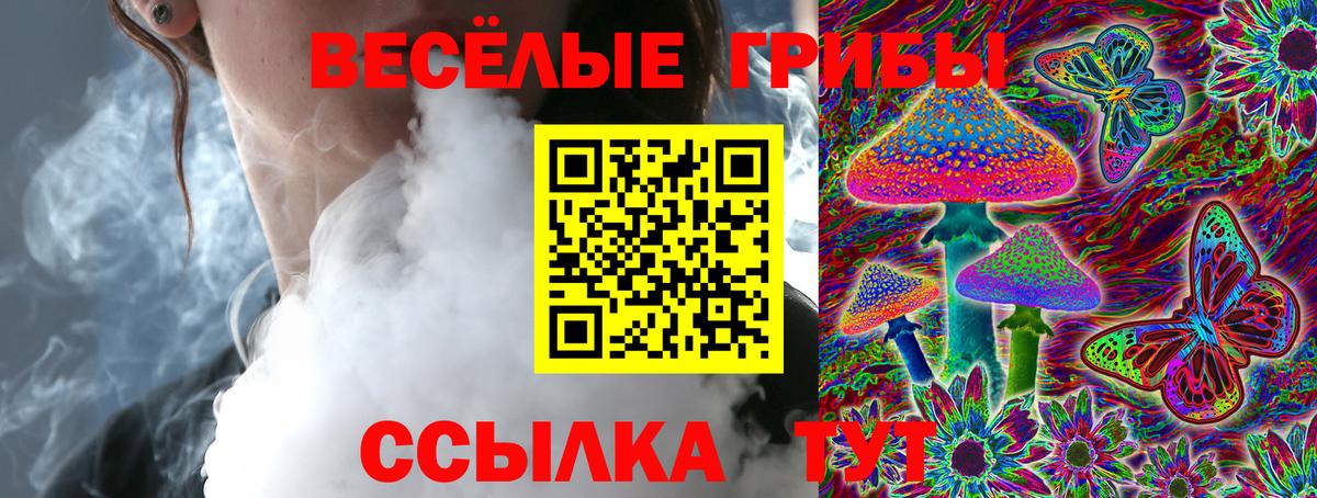 Псилоцибиновые грибы прущие грибы Кохма