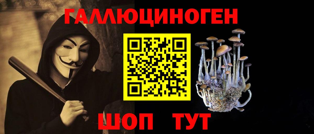 Псилоцибиновые грибы мицелий  Вход с VPN  Кохма  Псилоцибиновые грибы Psilocybine cubensis 